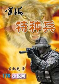 宦海特種兵