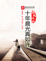 十年晨光真如許