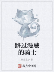 路過漫威的騎士