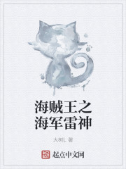 海賊王之海軍雷神
