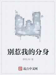 別惹我的分身