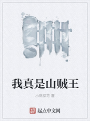 我真是山賊王
