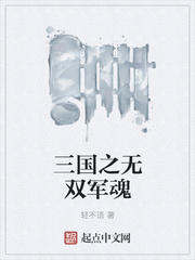 三國之無雙軍魂