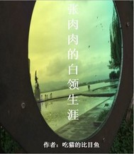 張肉肉的白領生涯