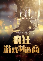 瘋狂游戲制造商