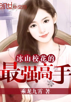 冰山?；ǖ淖顝姼呤?></a></dt>
            <dd><h3><a href=
