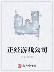 正經游戲公司