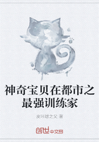 神奇寶貝在都市之最強訓(xùn)練家