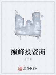 巔峰投資商