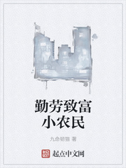 勤勞致富小農民