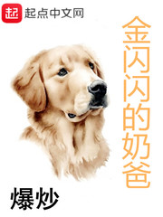 金閃閃的奶爸
