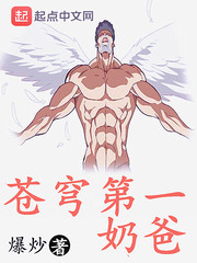 蒼穹第一奶爸
