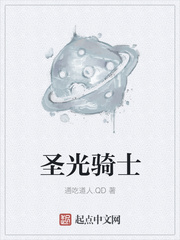 圣光騎士