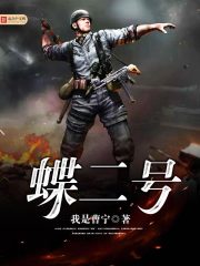 蝶二號(hào)