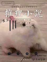 重生寫(xiě)推理小說(shuō)