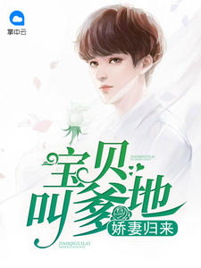 天才雙寶：傲嬌前妻抱回家（葉唯陸霆琛）