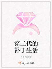 穿二代的補(bǔ)丁生活