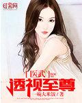 醫(yī)武透視至尊