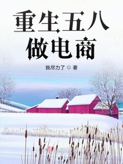重生五八做電商