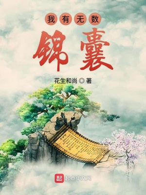 我有無數(shù)錦囊