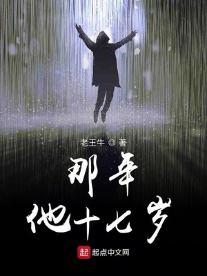 那年他十七歲