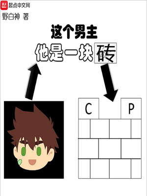 這個(gè)男主他是一塊磚