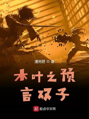 木葉之預(yù)言雙子