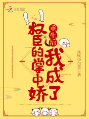 南寶衣重生后我成了權(quán)臣的掌中嬌