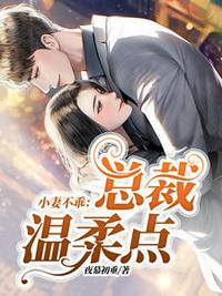 大叔嬌寵傲嬌妻