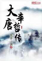 大唐辛哲傳