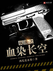 抗戰(zhàn)之血染長空