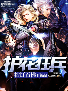 護花狂兵