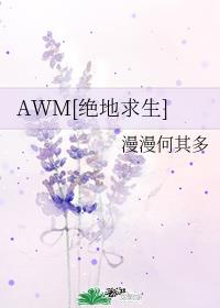 AWM[絕地求生]