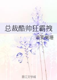 總裁酷帥狂霸拽