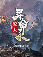 凌天尋命錄