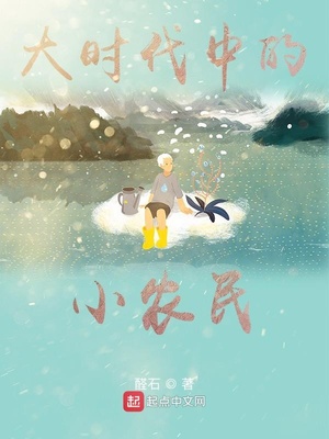 大時代中的小農(nóng)民