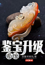 鑒寶升級(jí)系統(tǒng)