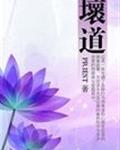 壞道