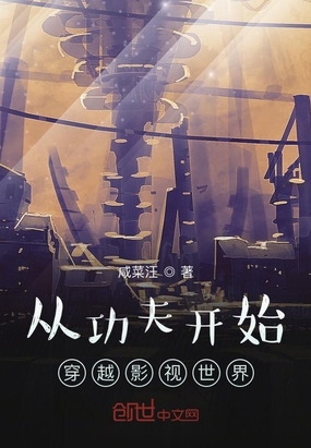 從功夫開始穿越影視世界