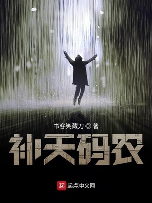 補(bǔ)天碼農(nóng)