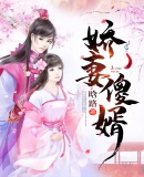 嬌妻傻婿