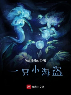 一只小海盜
