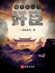 怕不是一個(gè)奸臣