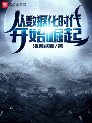 從數據化時代開始崛起