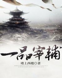 一品宰輔