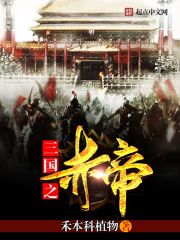 三國(guó)之赤帝
