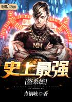史上最強(qiáng)盜系統(tǒng)
