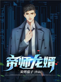 帝師龍婿