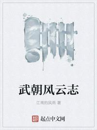 武朝風云志