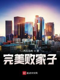 完美敗家子